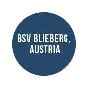 bsv